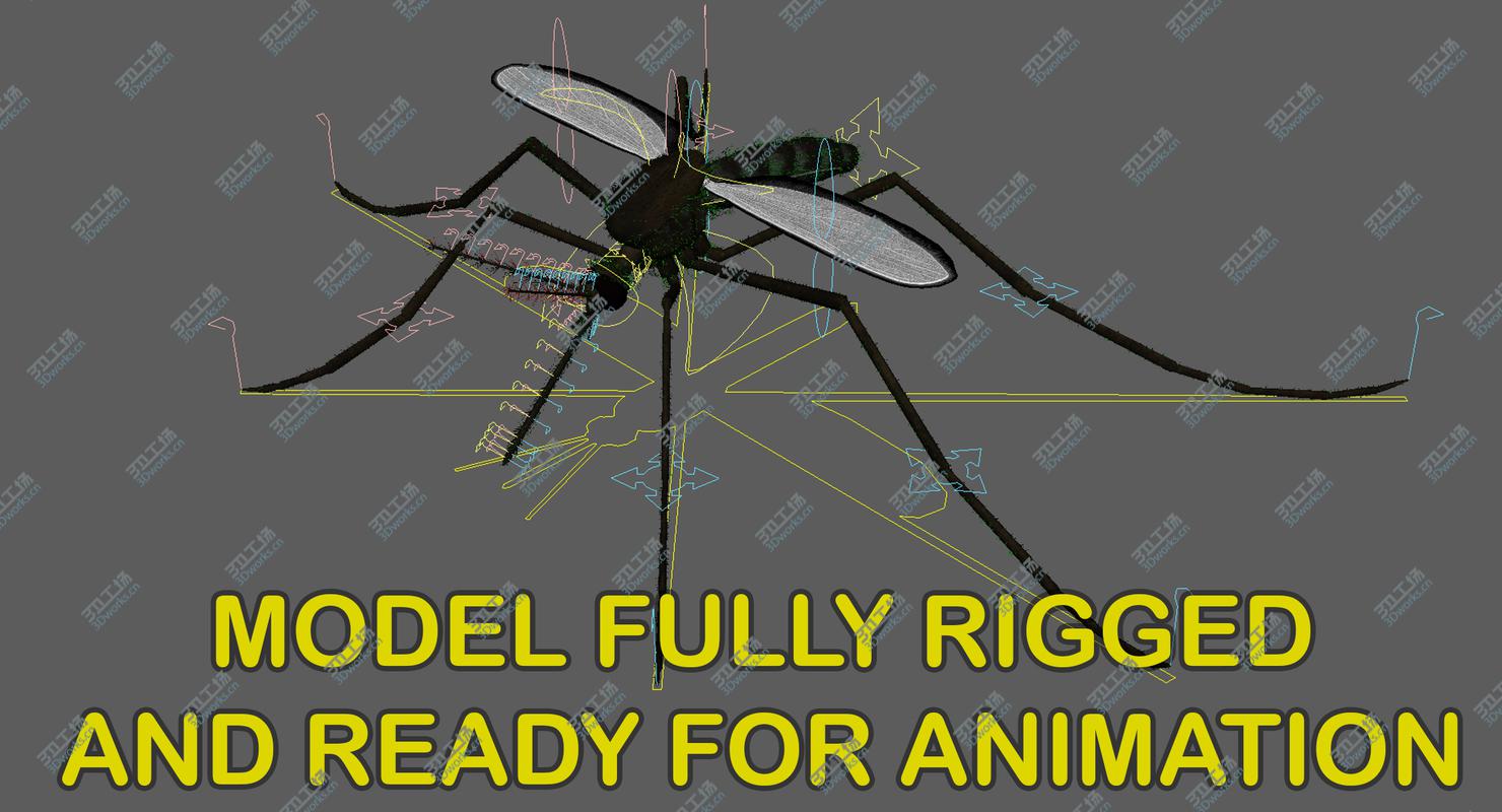 images/goods_img/202104091/3D model Mosquito Common House (Animated)/3.jpg